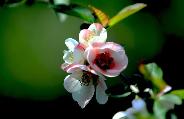 葫芦岛天气_葫芦岛天气预报15天查询结果